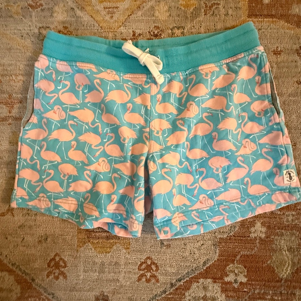 Chubbies Flamingo Shorts - Blue and Pink Men’s small